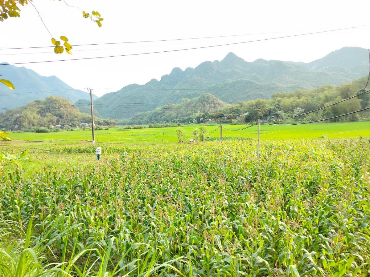 Truong Huy Homestay 마이쩌우 외부 사진