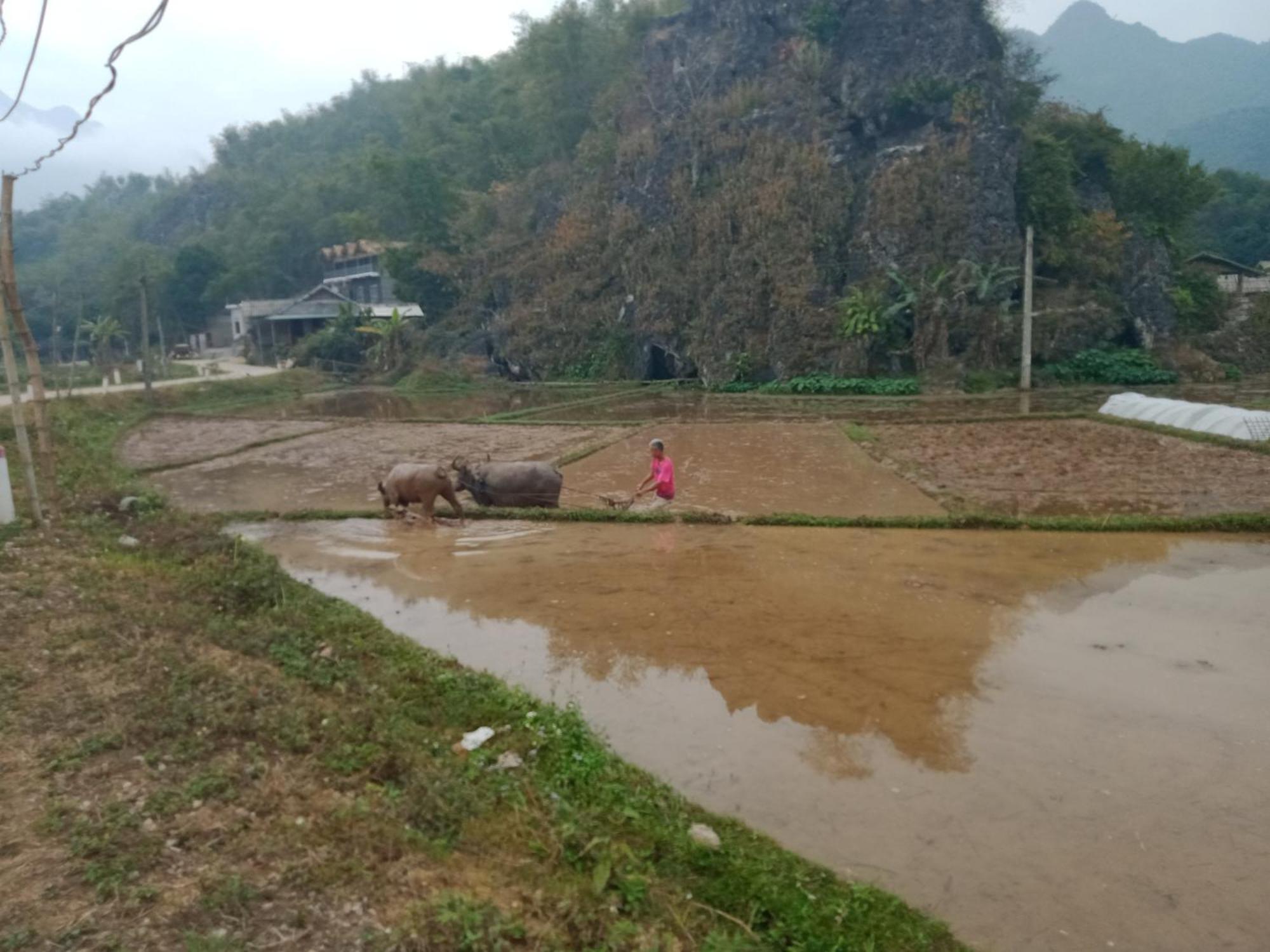 Truong Huy Homestay 마이쩌우 외부 사진
